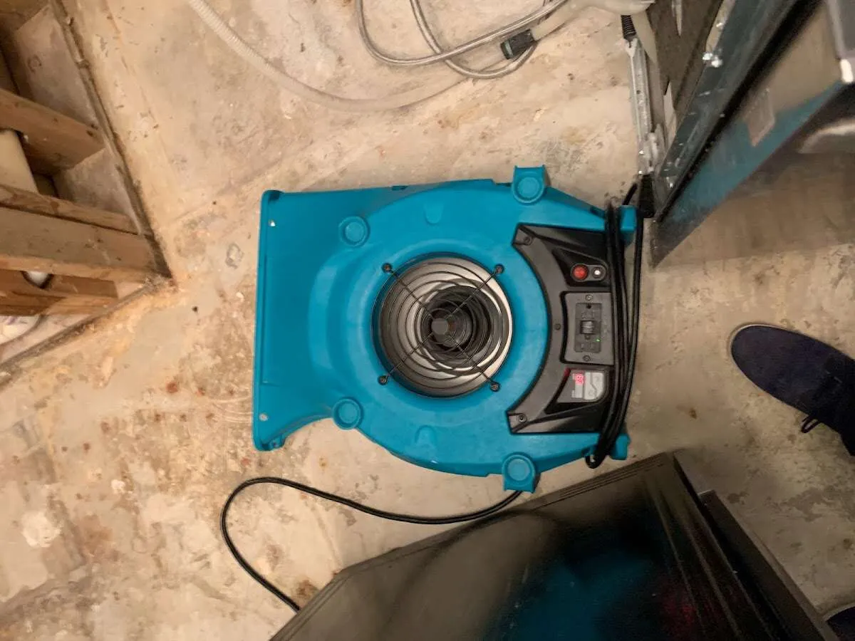 Air mover drying equipment for Mold Remediation & Removal in Tustin